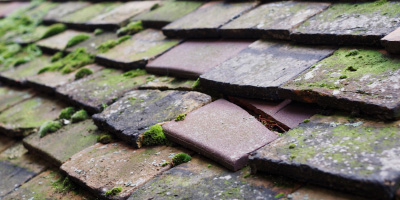 Broughton roof repair costs